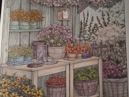 whatsapp bild 2025-10-22 um 18.58.59_9a6f2ea2